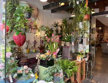 WhatsApp-Image-2023-05-11-at-16.50.55-1