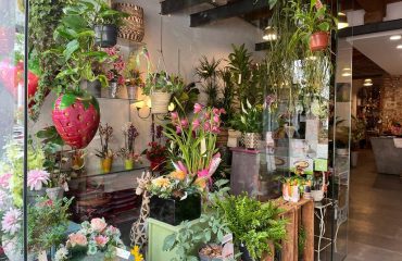 WhatsApp-Image-2023-05-11-at-16.50.55-1